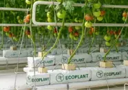 Premium coco peat block for export farming | VM Global Impex